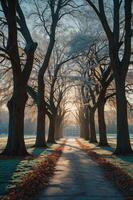 A serene pathway lined with tall trees leading to a distant building at sunrise. photo
