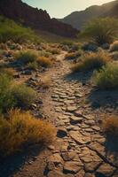 A winding stone path through a desert landscape, surrounded by shrubs and mountains. photo