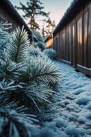 A serene winter scene featuring snow-covered ground and frosted pine branches between wooden structures. photo