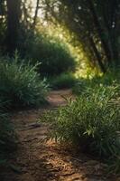 A tranquil forest path surrounded by lush greenery and dappled sunlight. photo