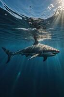 A shark swimming gracefully beneath the surface of the ocean with sunlight filtering through. photo