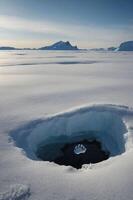 A paw print in a hole in the ice, surrounded by a snowy landscape and distant mountains. photo