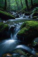 A serene forest stream flows over moss-covered rocks, surrounded by lush greenery. photo