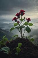 A cluster of red flowers atop a mound, surrounded by misty mountains and a dramatic sky. photo