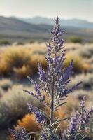 A close-up of a purple flowering plant in a natural landscape with mountains in the background. photo