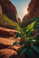A serene canyon scene with lush plants and sunlight filtering through red rock formations. photo