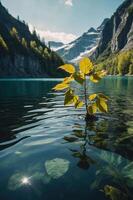 A serene lake scene featuring a solitary plant emerging from calm waters, surrounded by mountains. photo