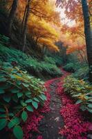 A serene forest path adorned with vibrant autumn foliage and lush greenery. photo