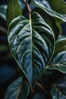 Close-up of a glossy green leaf showcasing its intricate texture and vibrant color. photo