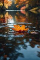 A vibrant autumn leaf floating on a calm river, surrounded by colorful reflections. photo