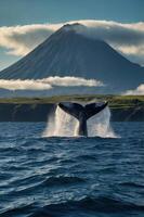 A whale's tail breaches the water with a volcano in the background under a cloudy sky. photo