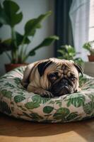 A pug resting on a leafy-patterned bed in a cozy indoor setting. photo
