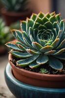 A close-up of a succulent plant in a terracotta pot, showcasing its intricate leaf patterns. photo