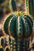 A close-up of a spiky cactus with multiple green segments and sharp thorns. photo