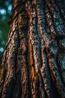 Close-up of a textured tree bark with moss, showcasing nature's intricate details. photo