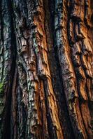 Close-up of textured tree bark showcasing natural patterns and colors. photo