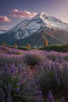 A serene landscape featuring lavender fields with snow-capped mountains in the background. photo