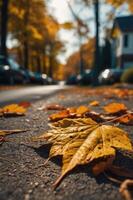 A close-up of autumn leaves on a sidewalk, capturing the essence of the fall season. photo