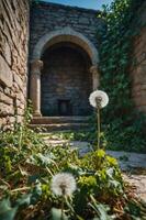A serene stone structure with dandelions in the foreground, surrounded by greenery. photo