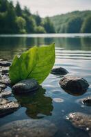 A serene view of a leaf resting on stones by a calm lake, reflecting nature's beauty. photo