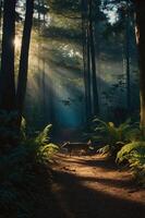 A serene forest scene with a dog walking along a sunlit path through the trees. photo