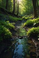 A serene forest stream surrounded by lush greenery and sunlight filtering through the trees. photo