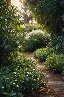 A serene pathway through lush greenery, inviting exploration and tranquility. photo