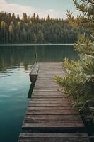 A serene wooden dock extends over calm waters, surrounded by lush greenery and trees. photo