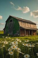 A rustic green barn surrounded by daisies under a blue sky with fluffy clouds. photo