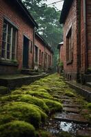 A serene pathway lined with moss between rustic brick buildings in a forested area. photo