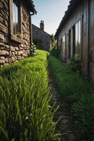 A serene pathway lined with lush grass between rustic stone buildings. photo