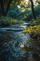 A serene stream flows through lush greenery, capturing nature's tranquility. photo