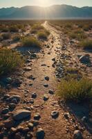 A winding dirt path through a desert landscape, bordered by sparse vegetation and mountains. photo