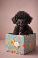 A cute black puppy sits in a floral-patterned box against a soft pink background. photo