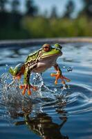 A vibrant frog leaps from water, creating splashes and ripples in a natural setting. photo