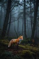 A fox stands in a misty forest, surrounded by trees and lush greenery. photo