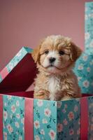 A cute puppy sitting in a floral-patterned gift box with a soft expression. photo