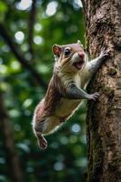 A lively squirrel climbing a tree, showcasing its agility and playful nature in a natural setting. photo