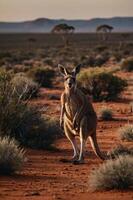 A kangaroo stands in a red desert landscape, surrounded by sparse vegetation and distant trees. photo