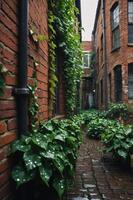 A narrow alleyway adorned with lush green vines and brick walls, evoking a serene atmosphere. photo