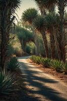 A serene pathway lined with palm trees and greenery, inviting exploration and tranquility. photo