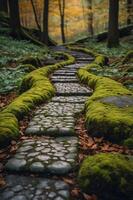 A serene stone pathway winding through a lush, moss-covered forest in autumn. photo