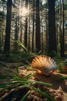 A scallop shell rests on sandy ground amidst tall trees and sunlight filtering through. photo