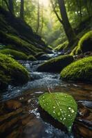 A serene forest scene featuring a stream and a leaf with droplets, emphasizing nature's beauty. photo