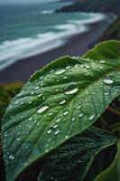 A close-up of a leaf with water droplets, overlooking a serene beach and ocean. photo