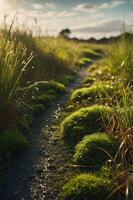 A serene pathway lined with lush moss and grass under a soft, natural light. photo