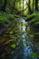 A serene forest stream with clear water and lush greenery, reflecting nature's tranquility. photo