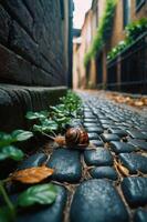 A snail crawls along a cobblestone path in a serene alley, surrounded by greenery and autumn leaves. photo