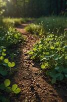 A serene dirt path surrounded by lush greenery and clover, illuminated by soft sunlight. photo