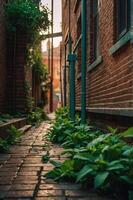 A narrow alleyway with brick walls, plants growing along the path, and soft evening light. photo